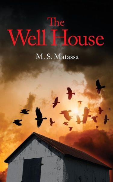 Cover for M S Matassa · The Well House (Paperback Book) (2014)