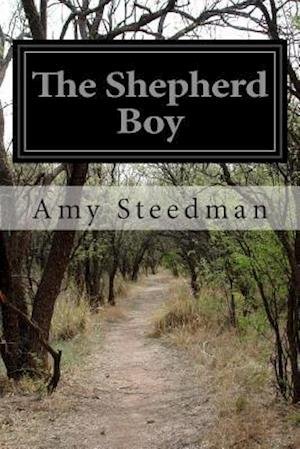 Cover for Amy Steedman · The Shepherd Boy (Paperback Book) (2014)