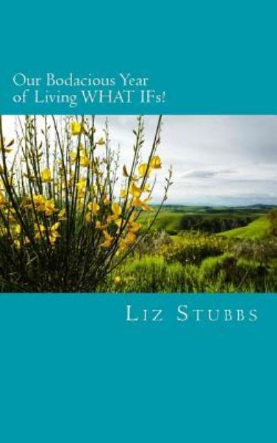 Cover for Liz Stubbs · Our Bodacious Year of Living WHAT IFs! (Paperback Bog) (2016)