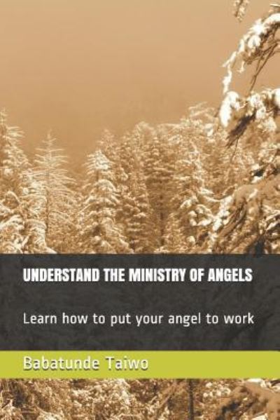 Cover for Babatunde Taiwo · Understand the Ministry of Angels (Paperback Book) (2018)