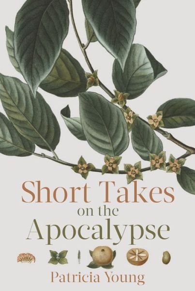 Cover for Patricia Young · Short Takes on the Apocalypse (Paperback Book) (2017)