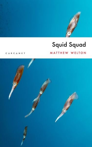 Cover for Matthew Welton · Squid Squad: A Novel (Paperback Book) (2020)