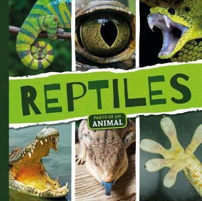 Cover for Emilie Dufresne · Reptiles - Parts of an Animal (Hardcover Book) (2018)