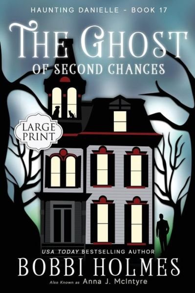 Cover for Bobbi Holmes · The Ghost of Second Chances (Paperback Book) (2019)