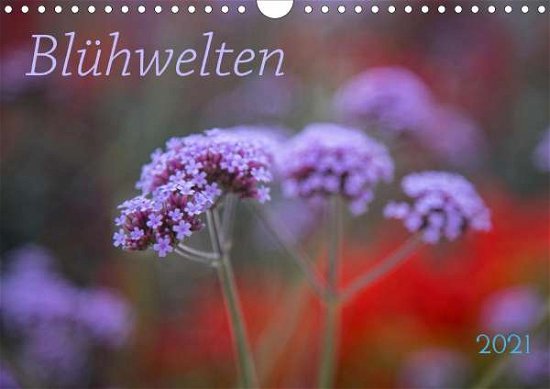 Cover for Taubert · Blühwelten (Wandkalender 2021 D (Book)
