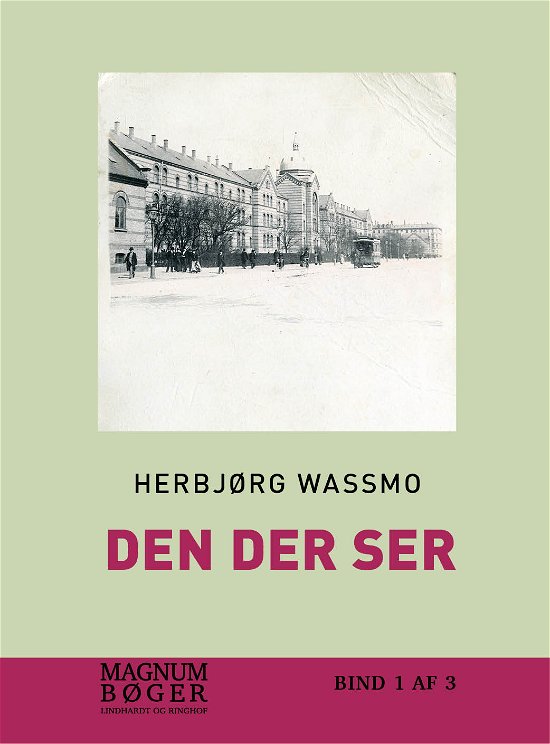 Cover for Herbjørg Wassmo · Den der ser (storskrift) (Inbunden Bok) [1:a utgåva] (2017)