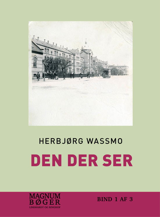 Cover for Herbjørg Wassmo · Den der ser (storskrift) (Indbundet Bog) [1. udgave] (2017)