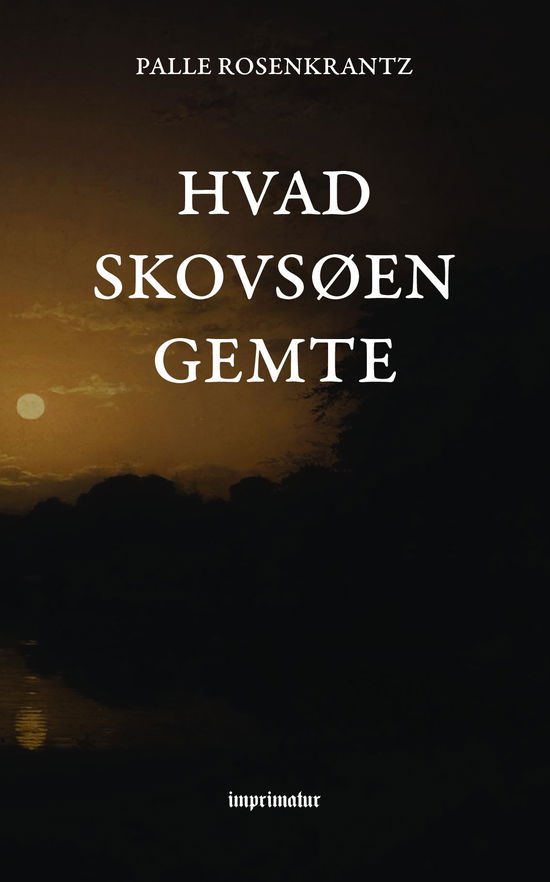 Cover for Palle Rosenkrantz · Hvad skovsøen gemte (Taschenbuch) (2020)