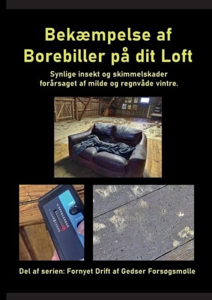 Bekæmpelse af Borebiller på dit Loft - Gitte Ahrenkiel - Libros - Books on Demand - 9788743046356 - 22 de febrero de 2022