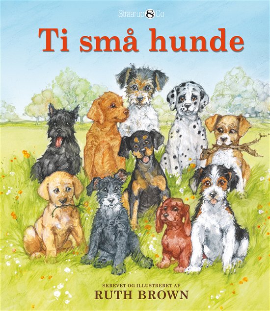 Cover for Ritt Browm · Ti små hunde (Hardcover Book) [1st edition] (2023)