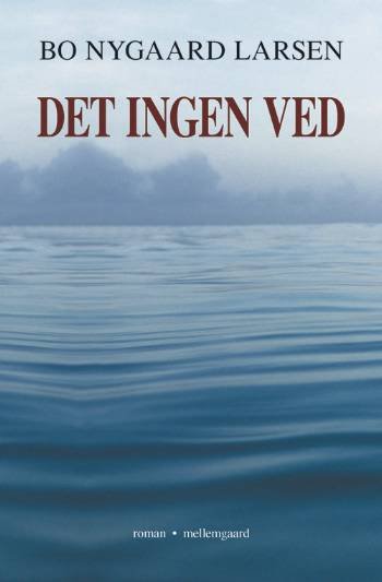 Cover for Bo Nygaard Larsen · Det ingen ved (Sewn Spine Book) [1º edição] (2007)