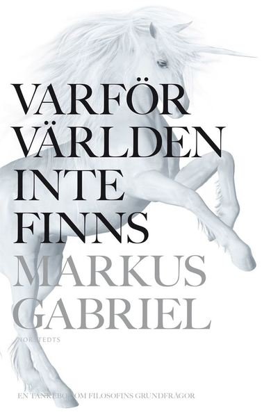 Cover for Markus Gabriel · Varför världen inte finns (ePUB) (2015)
