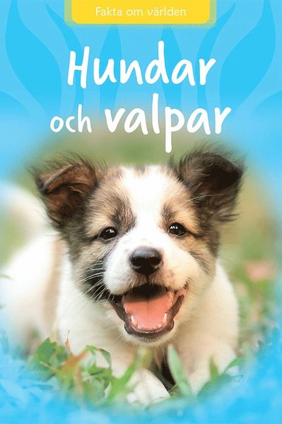 Cover for Sarah Snashall · Fakta om världen: Hundar och valpar (Bound Book) (2021)