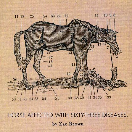 Cover for Zac Brown · Ride the Sick Horse (CD) (2007)