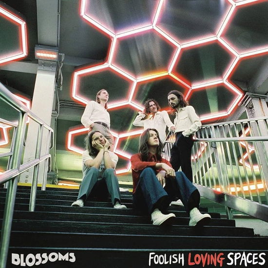 Cover for Blossoms · Blossoms- Foolish Loving Spaces- CD (CD)