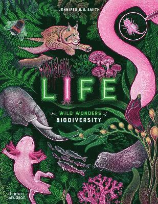 Cover for Jennifer N. R. Smith · Life: The wild wonders of biodiversity - Wild Wonders (Gebundenes Buch) (2025)