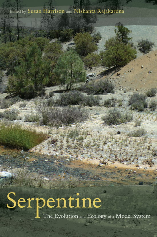 Cover for Nishanta Rajakaruna Susan Harrison · Serpentine: The Evolution and Ecology of a Model System (Hardcover Book) (2011)