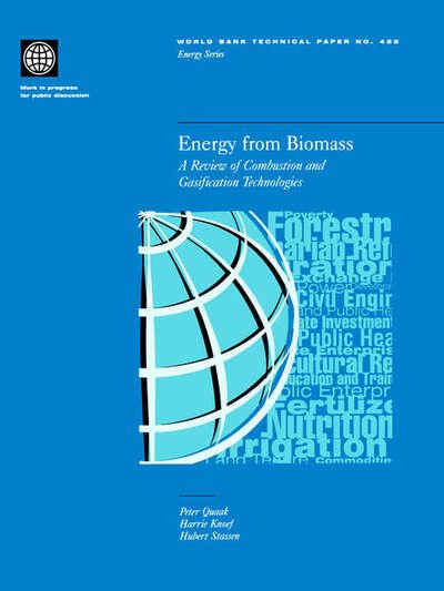Cover for Harrie Knoef · Energy from Biomass: a Review of Combustion and Gasification Technologies (World Bank Technical Papers) (Taschenbuch) (1999)
