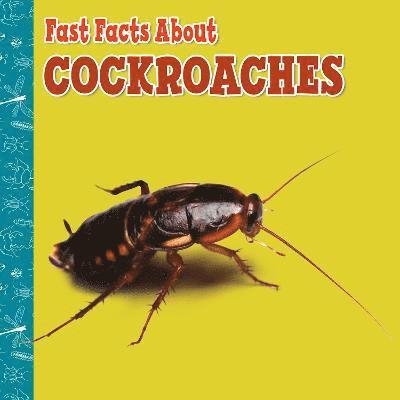 Cover for Lisa J. Amstutz · Fast Facts About Cockroaches - Fast Facts About Insects and Spiders (Pocketbok) (2022)