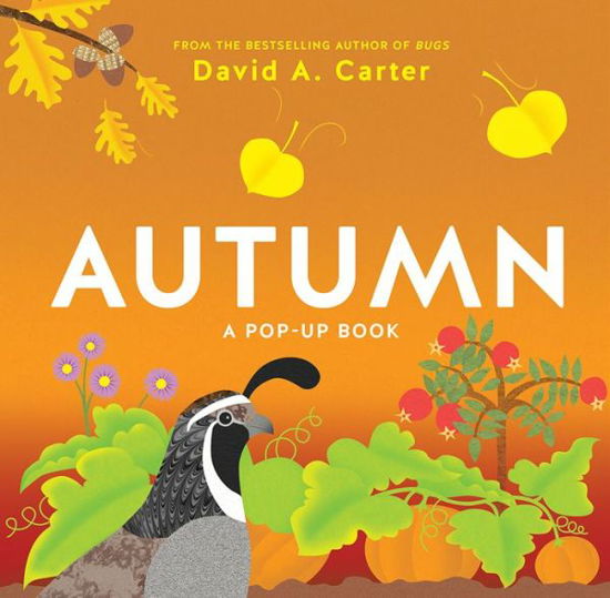 Autumn: A Pop-Up Book - Seasons Pop-up - David Carter - Books - Abrams - 9781419725357 - August 29, 2017