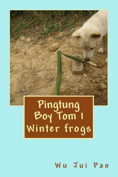 Cover for Wu Jui Pao · Pingtung Boy Tom 1: Winter Frogs (Taschenbuch) (2015)