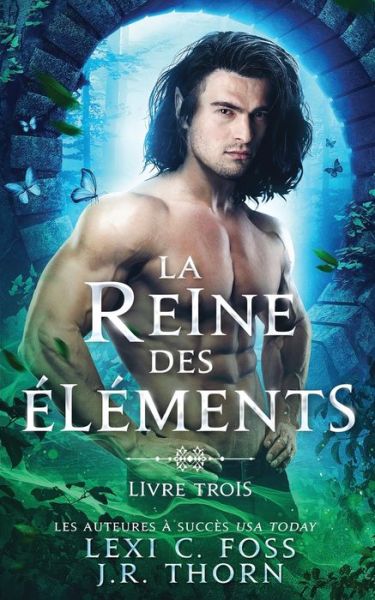 Reine des Elements - J R Thorn - Books - Ninja Newt Publishing, LLC - 9781685300357 - October 19, 2021