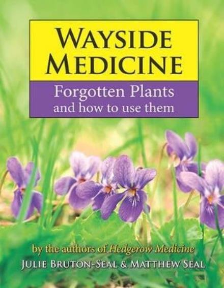 Cover for Julie Bruton-Seal · Wayside Medicine: Forgotten Plants and how to use them (Hardcover Book) (2017)