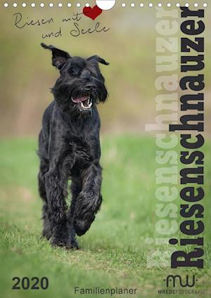 Riesenschnauzer - Riesen mit Herz - Wrede - Books -  - 9783670838357 - 