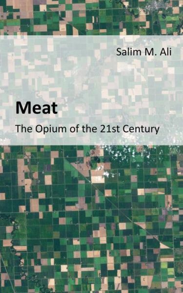 Cover for Salim M Ali · Meat (Paperback Book) (2015)