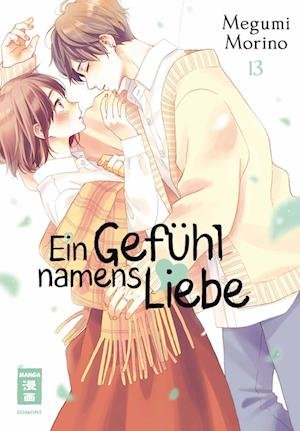 Cover for Megumi Morino · Ein Gefühl namens Liebe 13 (Bog) (2024)