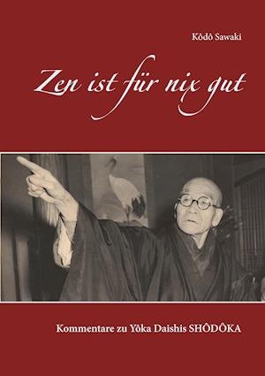 Cover for Kôdô Sawaki · Zen ist für nix gut (Paperback Book) (2016)