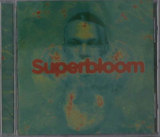 Superbloom - Ashton Irwin - Muzyka - SELF RELEASE - 0192641070358 - 27 listopada 2020