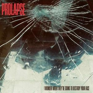 Cover for Prolapse · I Wonder When They're Going to Destroy Your Face (CD) (2025)