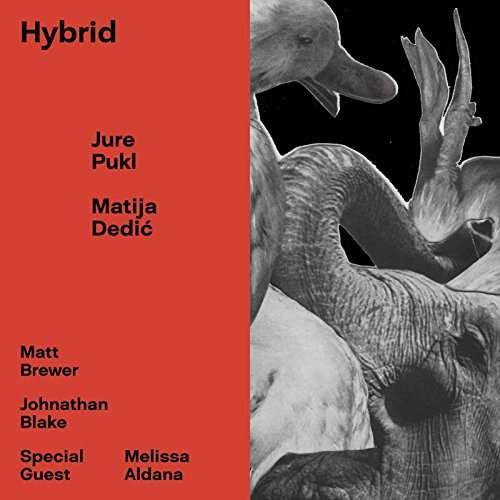 Hybrid - Jure Pukl & Matija Dedic - Musikk - WHIRLWIND RECORDINGS - 4055388386358 - 29. september 2017