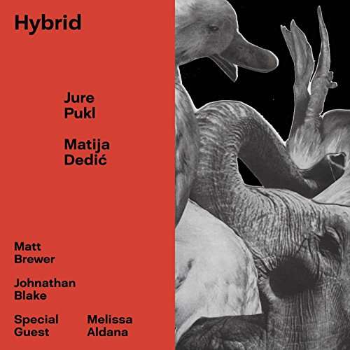 Hybrid - Jure Pukl & Matija Dedic - Muziek - WHIRLWIND RECORDINGS - 4055388386358 - 29 september 2017