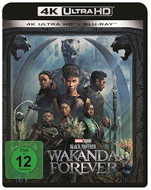 Cover for Black Panther - Wakanda forever (4K UHD Blu-ray) (2023)