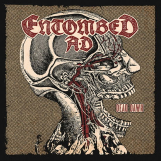 Cover for Entombed A.d. · Dead Dawn (LP) (2025)