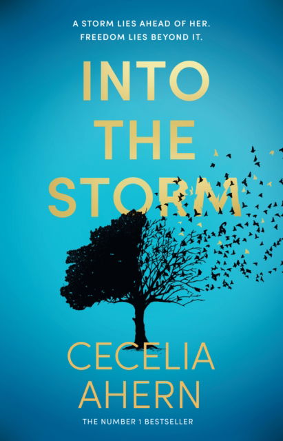 Cover for Cecelia Ahern · Into the Storm (Paperback Bog) (2024)