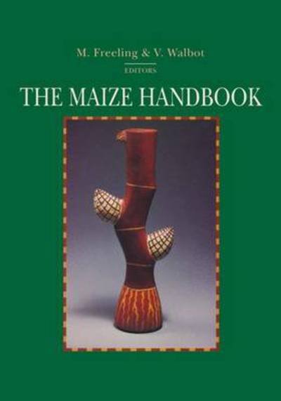Cover for Freeling · The Maize Handbook - Springer Lab Manuals (Paperback Bog) [Softcover reprint of the original 1st ed. 1994 edition] (1996)
