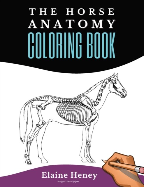 Elaine Heney · Horse Anatomy Coloring Book For Adults: Self Assessment Equine Coloring Workbook: Test Your Knowledge - For Equestrians & Veterinary Students (Paperback Bog) (2022)