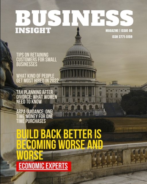 Cover for Inc. Blurb · Business Insight Magazine Issue 8 (Pocketbok) (2024)