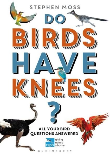 Cover for Stephen Moss · Do Birds Have Knees?: All Your Bird Questions Answered - RSPB (Taschenbuch) (2016)