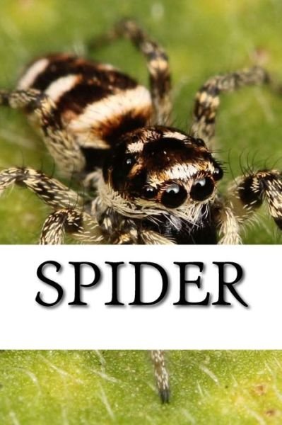 Cover for Spider (Pocketbok) (2017)