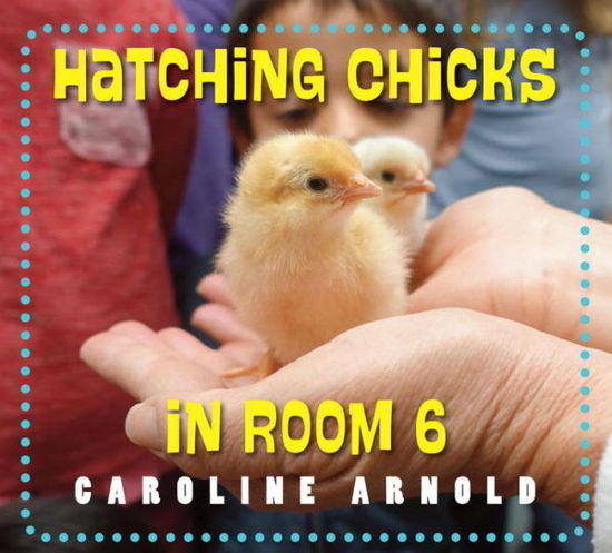 Cover for Caroline Arnold · Hatching Chicks in Room 6 - Life Cycles in Room 6 (Hardcover Book) (2017)