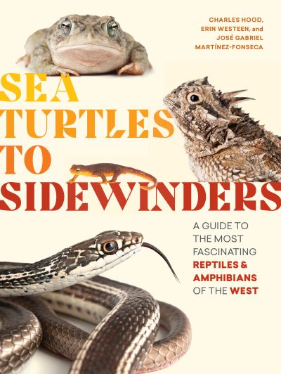 Cover for Charles Hood · Sea Turtles to Sidewinders: A Guide to the Most Fascinating Reptiles and Amphibians of the West (Pocketbok) (2022)