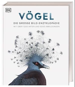 Cover for Andreas Held · Vögel (Book) (2022)