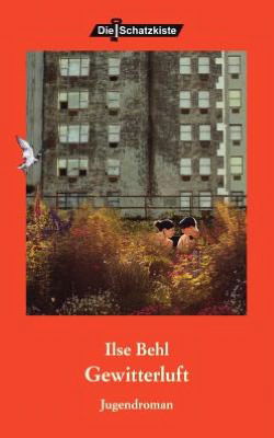 Cover for Ilse Behl · Gewitterluft (Paperback Book) [German edition] (2004)