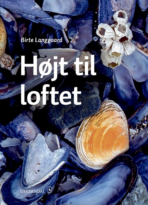 Cover for Birte Langgaard · Højt til loftet: Højt til loftet (Hæftet bog) [1. udgave] (2018)