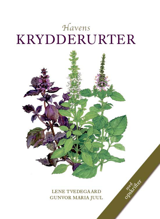 Den hvide serie: HAVENS KRYDDERURTER - Lene Tvedegaard og Gunvor Maria Juul - Books - Koustrup & Co. - 9788793159358 - July 15, 2020