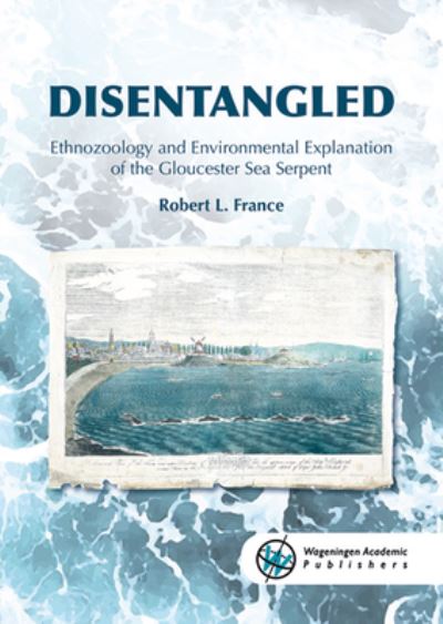 Cover for Robert L. France · Disentangled (Book) (2019)